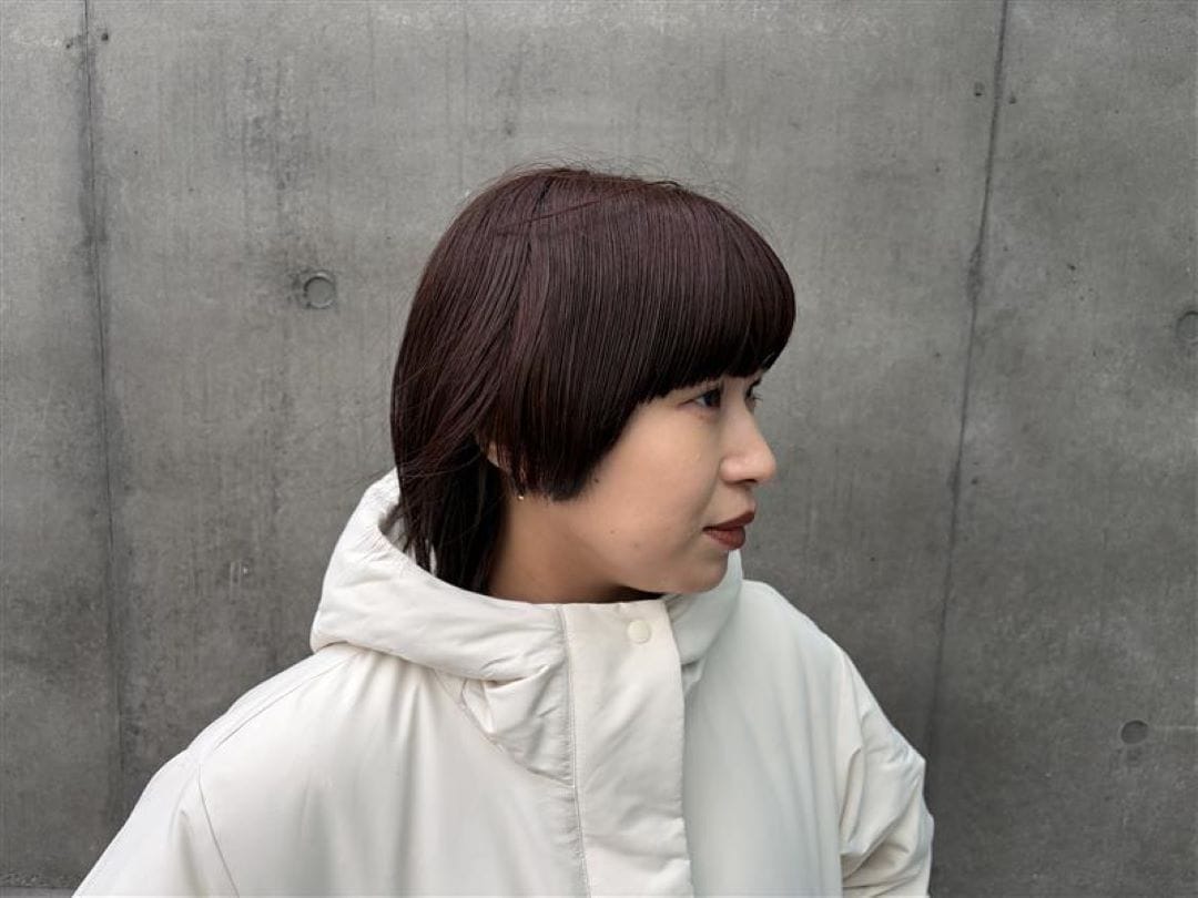 スタッフのおすすめ