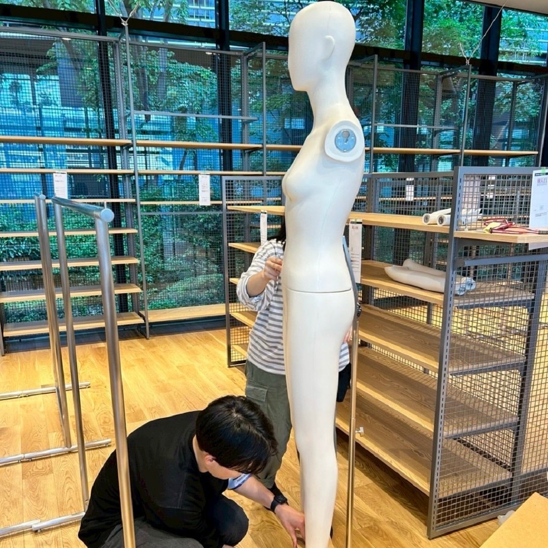 陳列