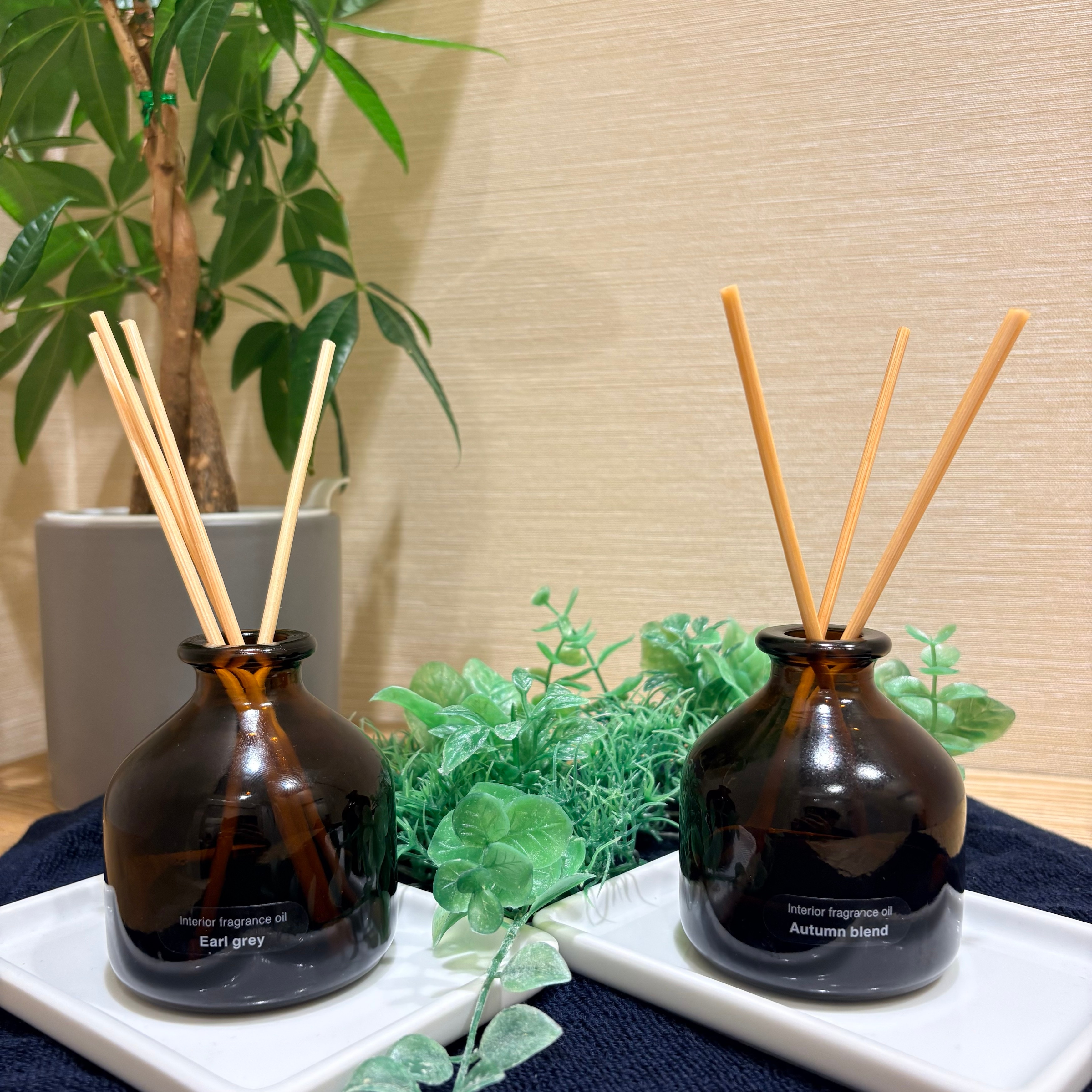【イオンモール川口前川】秋を彩る新たな香り_Nm7R5i