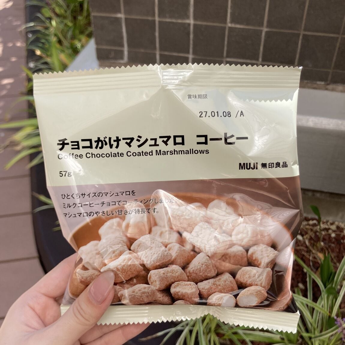 【PRALIVA】新商品　季節限定チョコレートのご紹介_U3oLX0