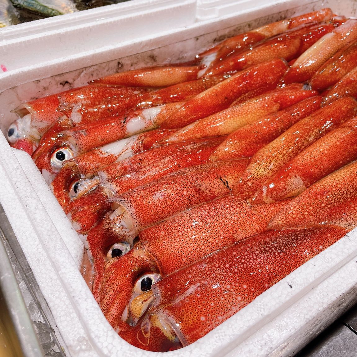 【堺北花田】今日のおすすめはスズキ｜鮮魚売場から