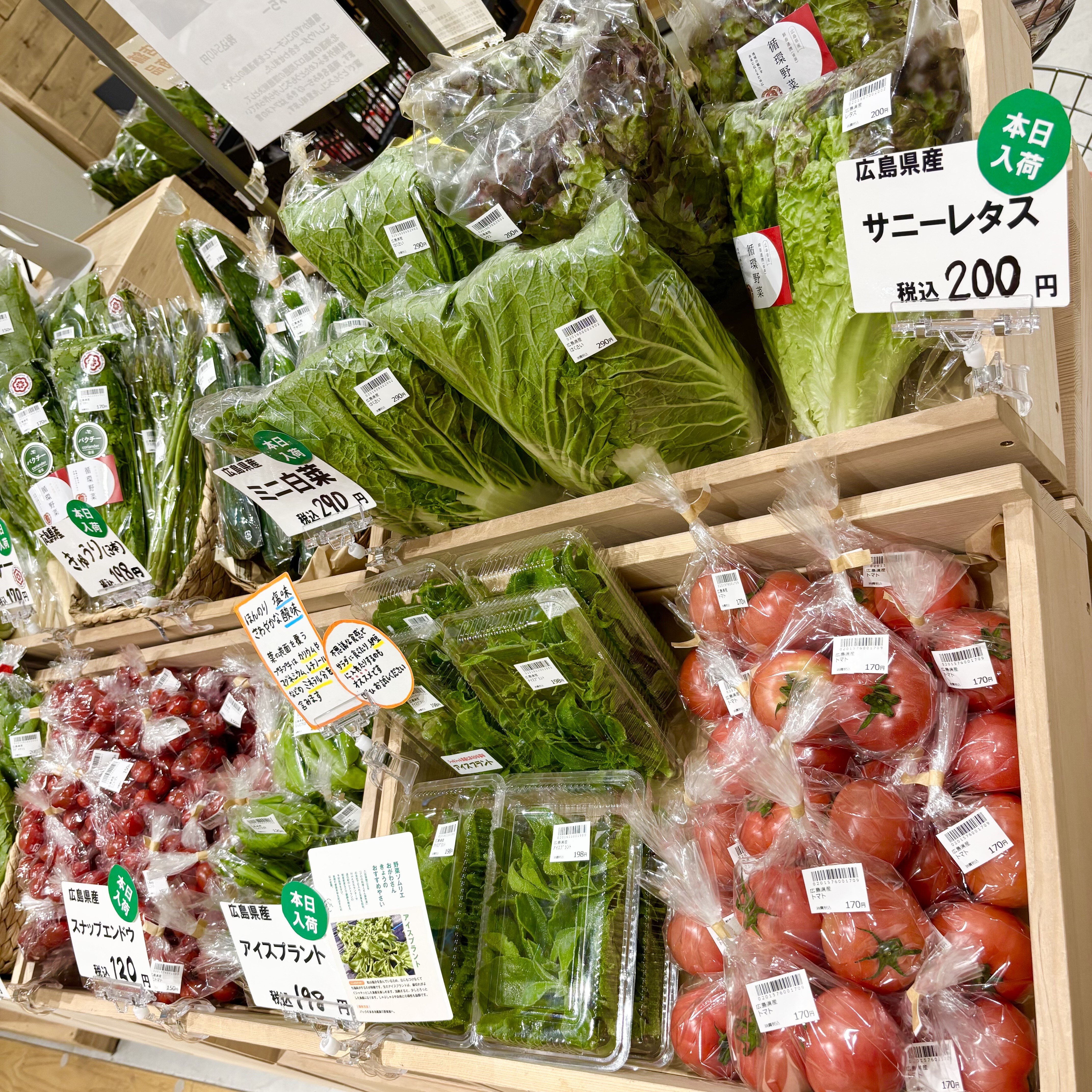 野菜1