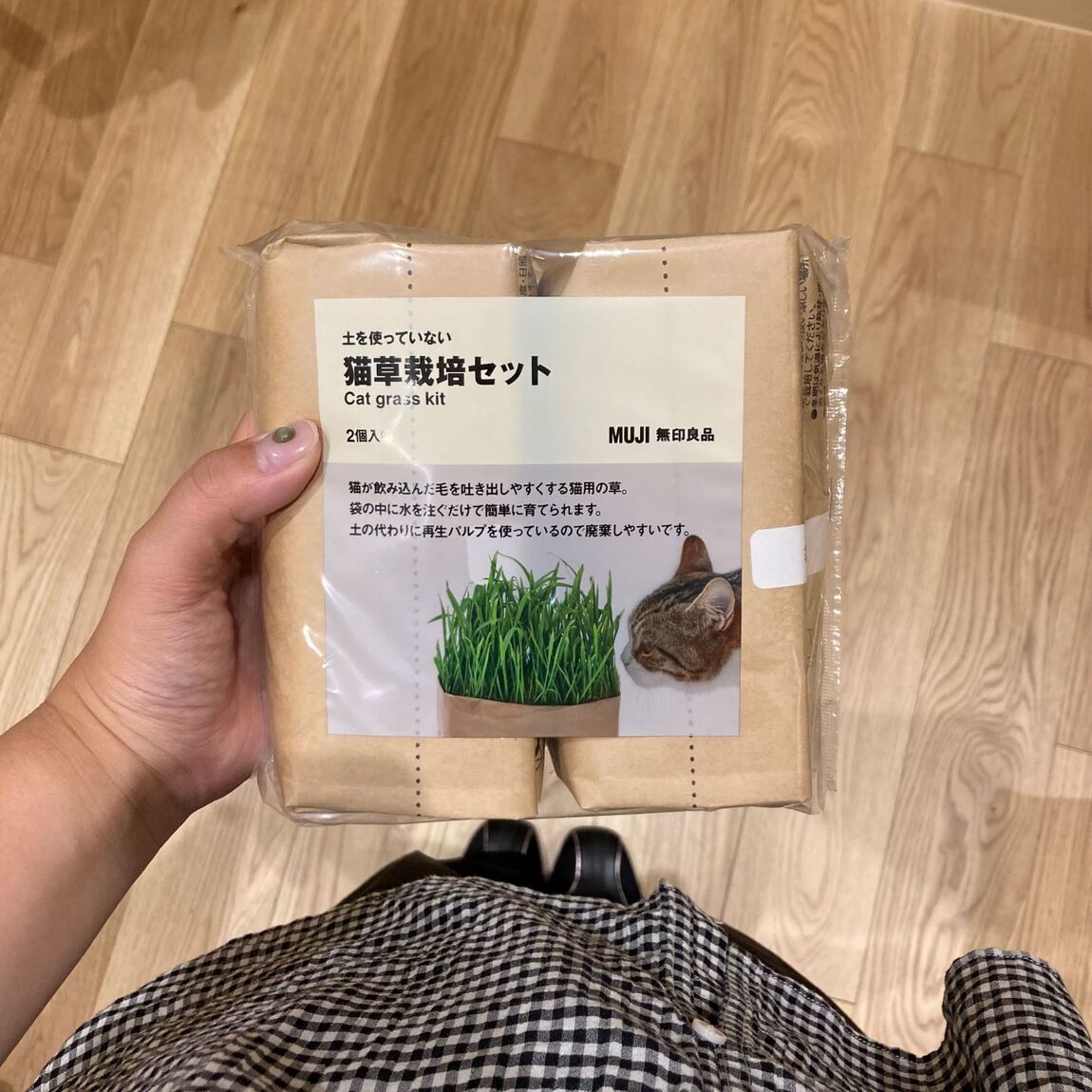 写真①