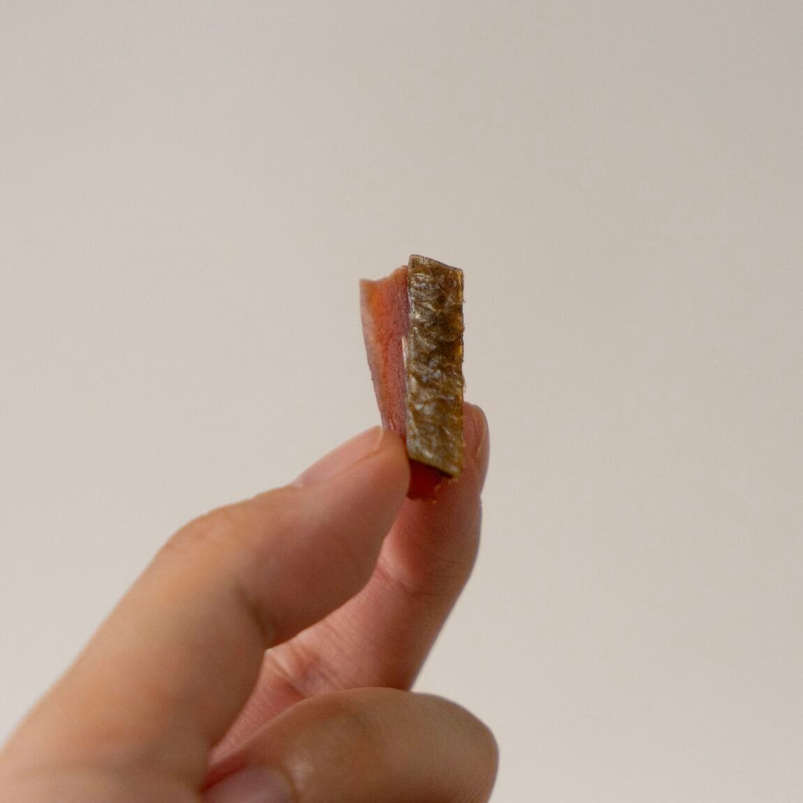 【イオンモール大高】干して生まれる鮭の味｜食べる、をたどる #3_uuKC2E