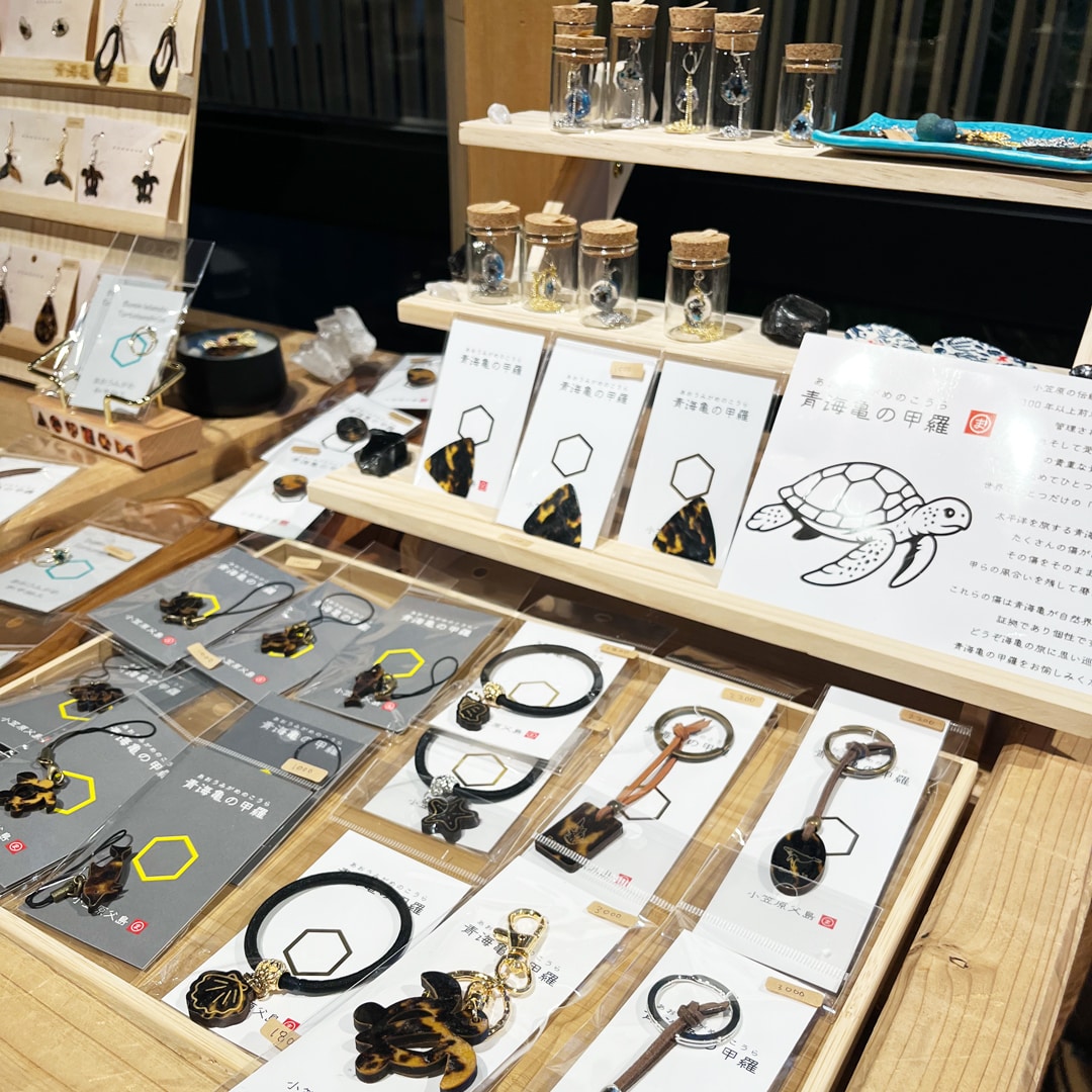 海からの贈りもの展