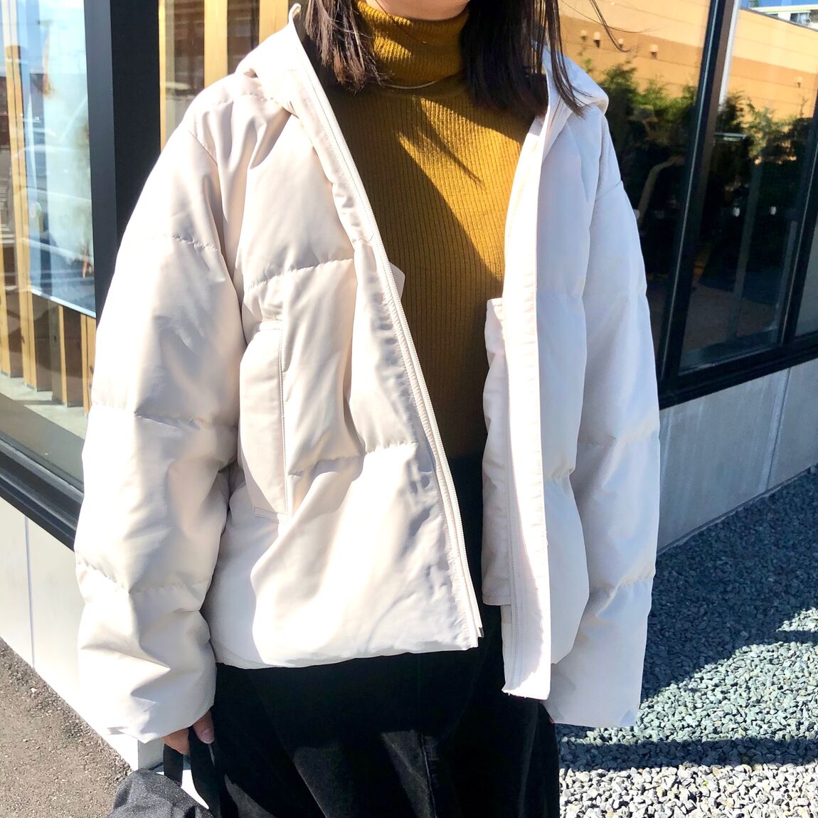 ｖ