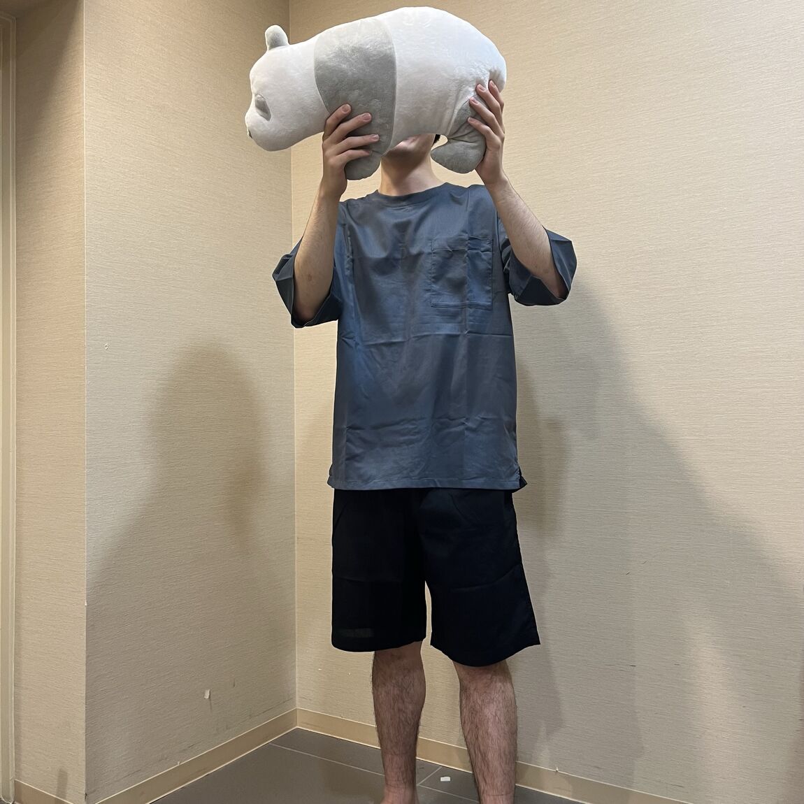 紳士 パンダ クッション