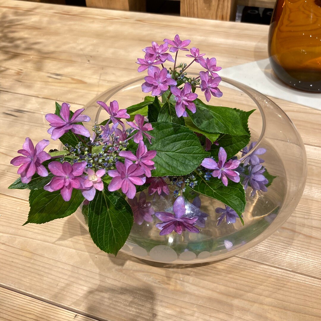 展示中のお花