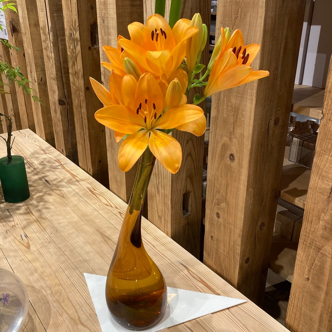 展示中のお花