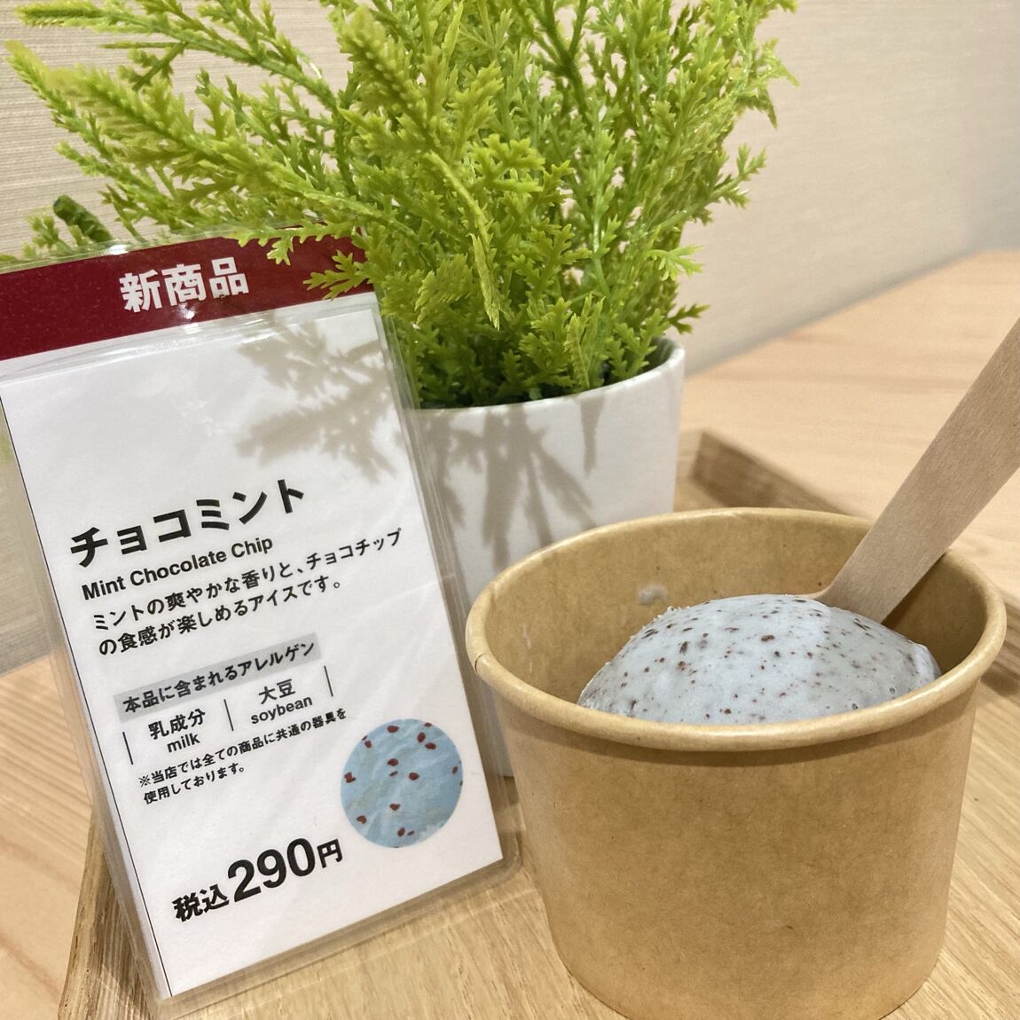 【大丸福岡天神】私は秋でもチョコミント。〈C&I〉_91zFoG