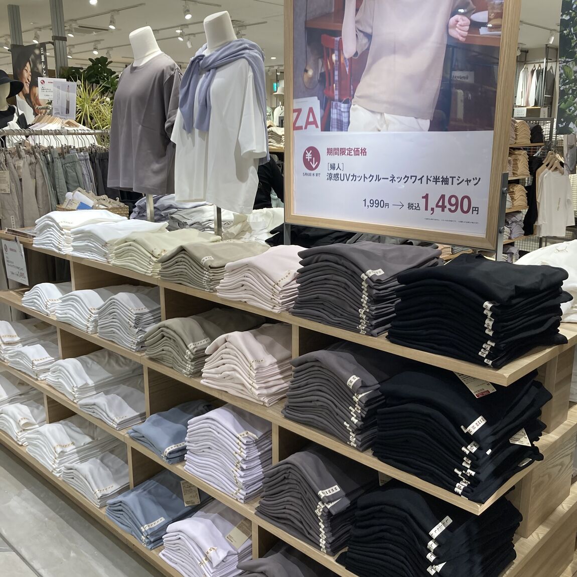 期間限定価格
