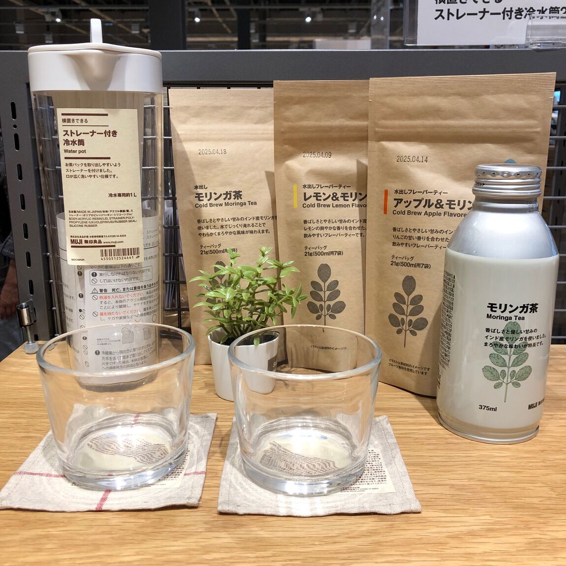 モリンガ茶2