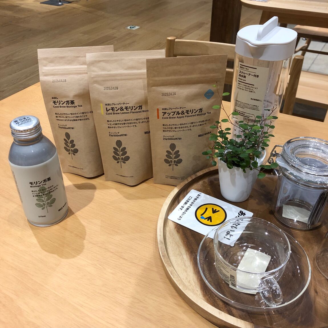 モリンガ茶3
