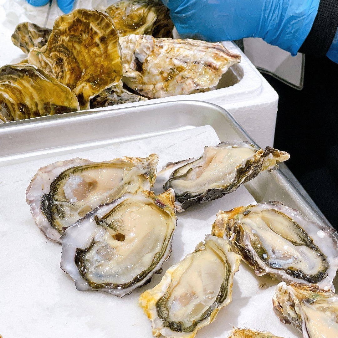 【堺北花田】連休は海鮮バーベキューを楽しもう｜鮮魚売場から