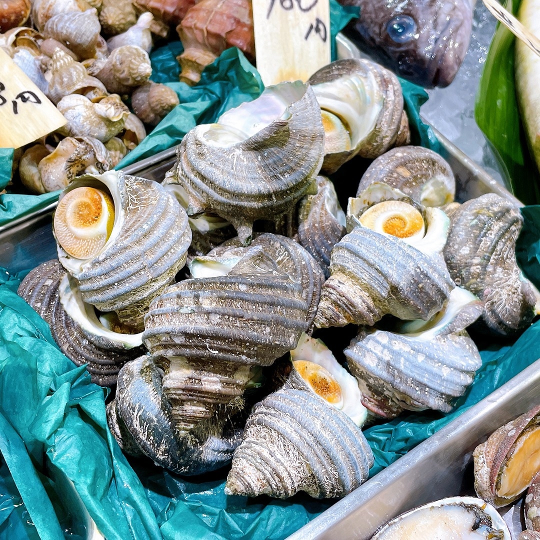 【堺北花田】連休は海鮮バーベキューを楽しもう｜鮮魚売場から