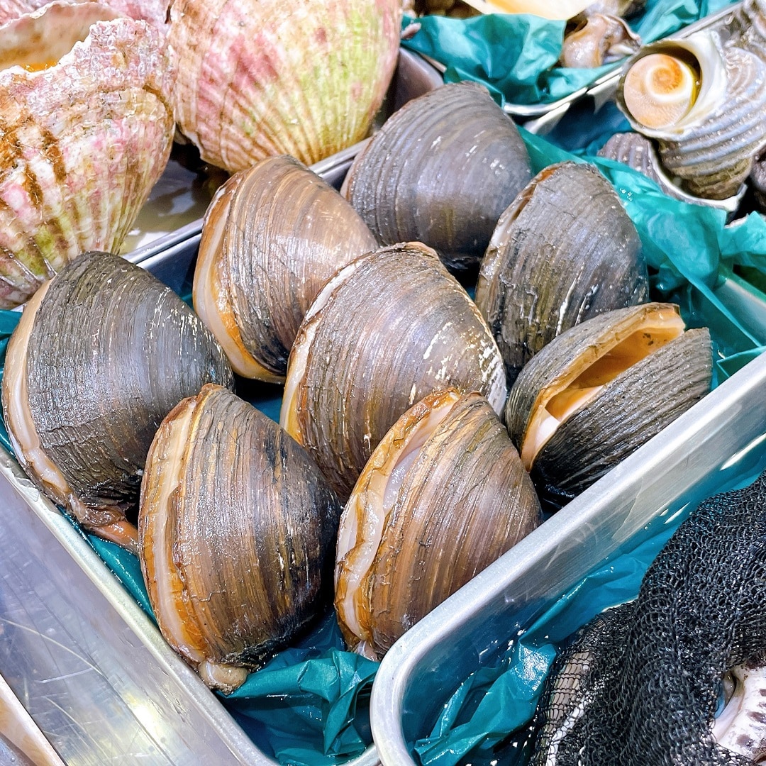 【堺北花田】連休は海鮮バーベキューを楽しもう｜鮮魚売場から