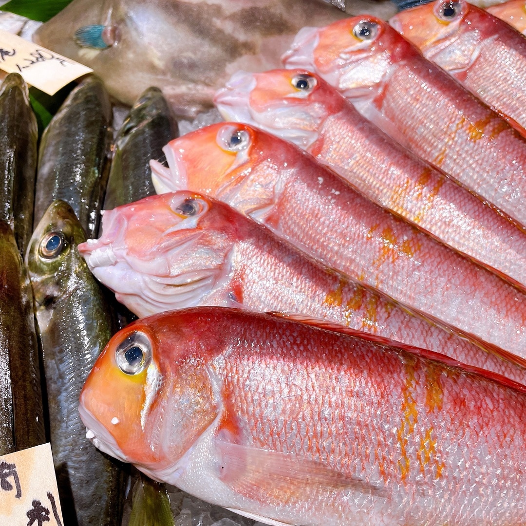 【堺北花田】母の日はみんなでごちそうを囲もう｜鮮魚売場から