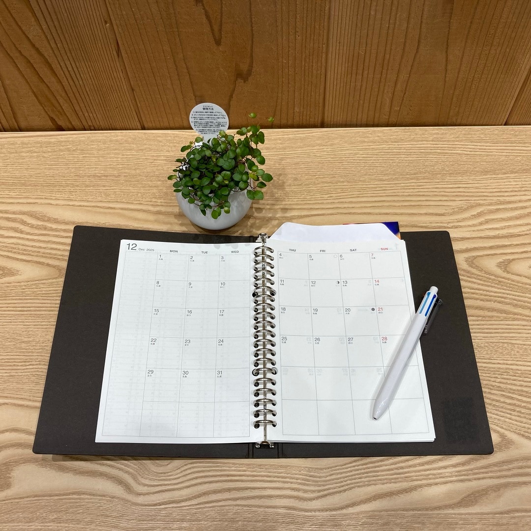 【ららぽーと沼津】