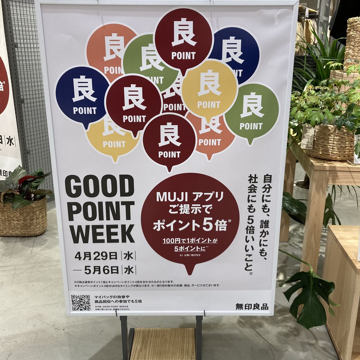 期間限定価格