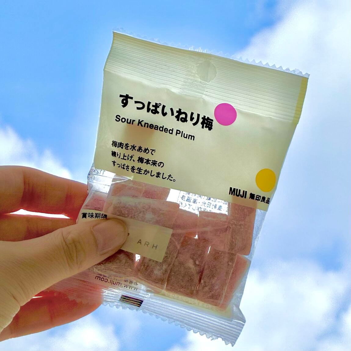 【小田急町田】ぽちと夏のお出かけ_fxbs4e