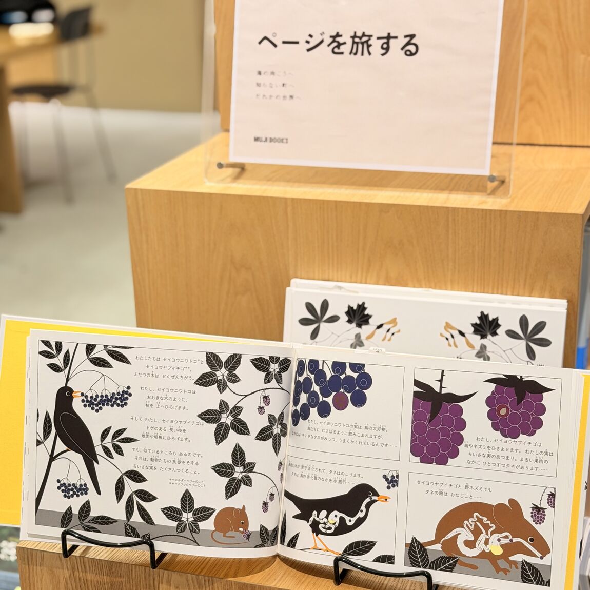 【阪急西宮ガーデンズ】MUJI BOOKS 今月の特集「ページを旅する」_tvS61a