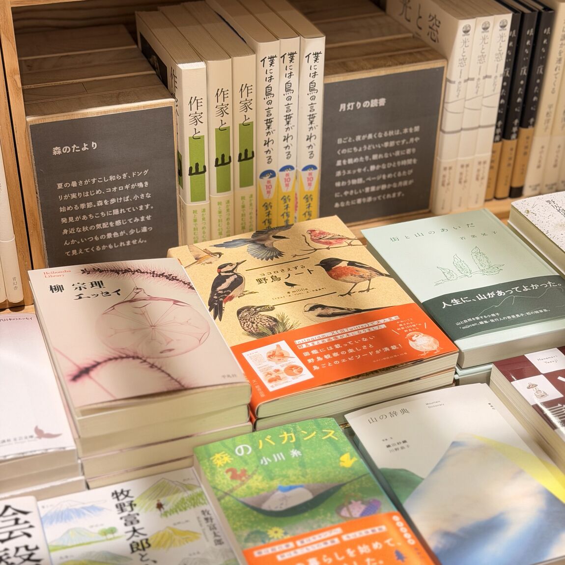 【阪急西宮ガーデンズ】MUJIBOOKS 今月の特集「秋へ」_npsj63