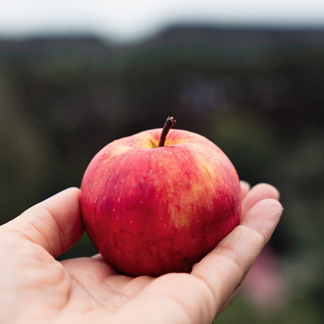 【京都山科】写真家 在本彌生さんとリトアニアのお話｜トークイベントのお知らせ