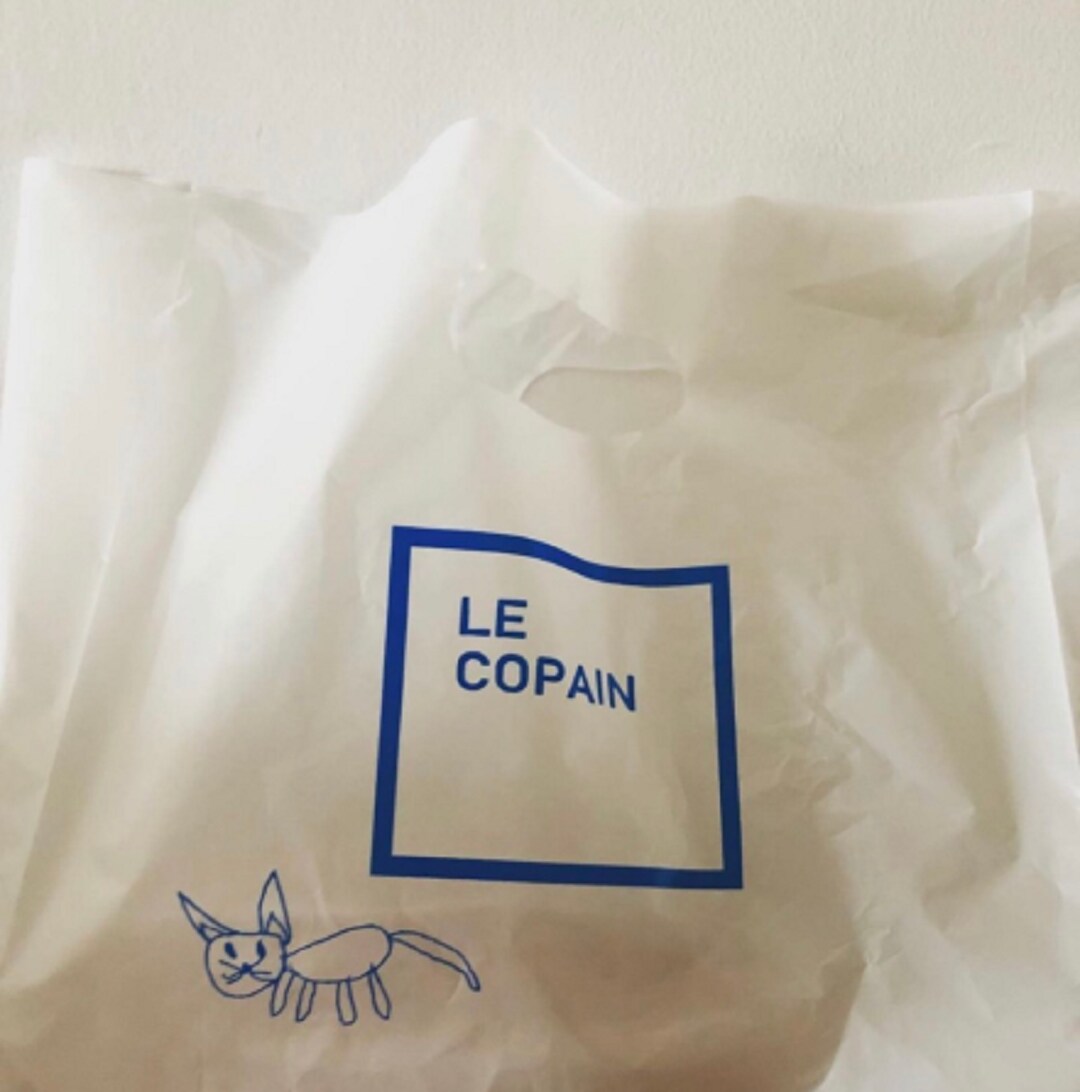 Le copain