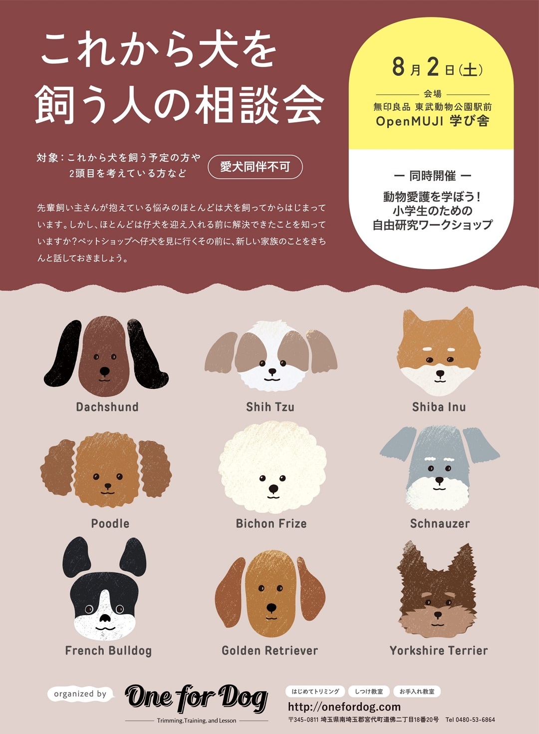 むじるしのなつぞらひろば