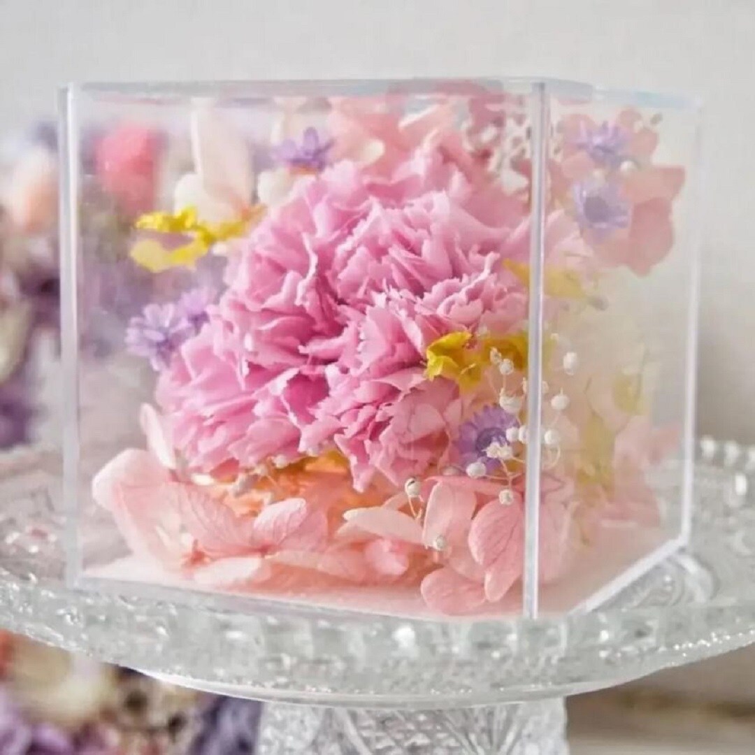 41.若松しめ縄 000000000175_EIdRclL.jpg