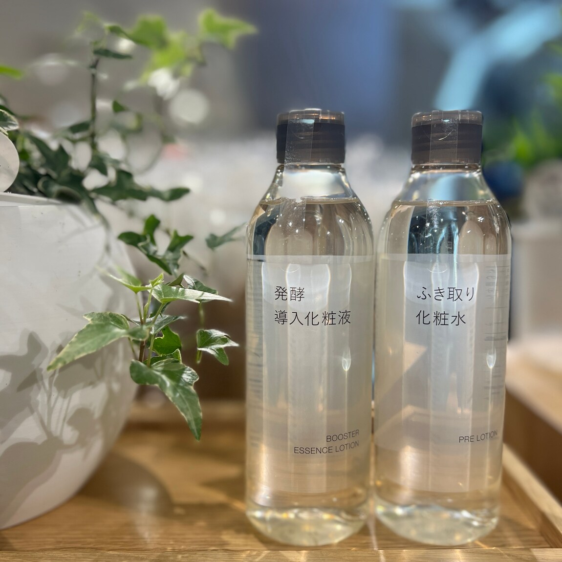 発行導入とふき取り化粧水