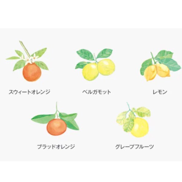 エッセンシャル　シトラスの香り
