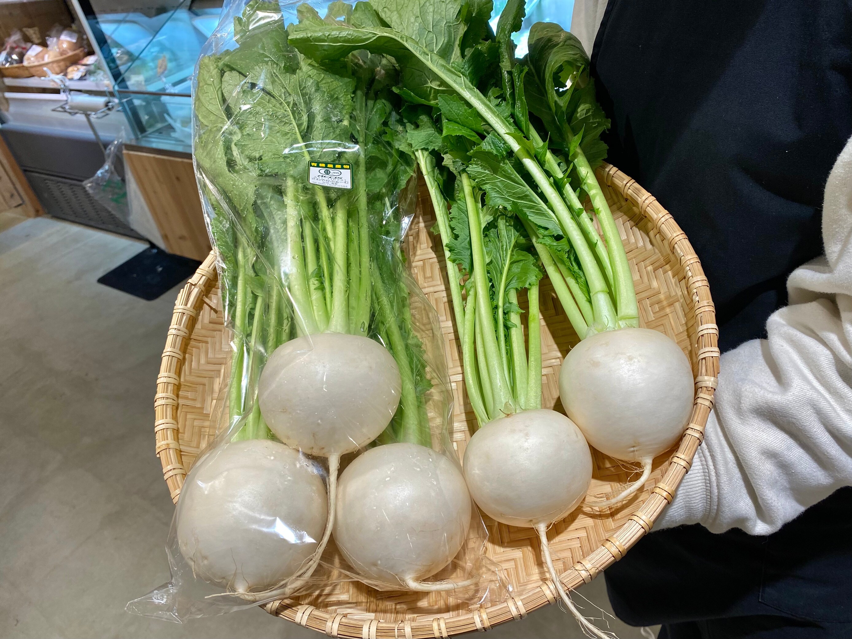 【シエスタハコダテ】道南の美味しい野菜たちが出始めました｜ベジ旨だより