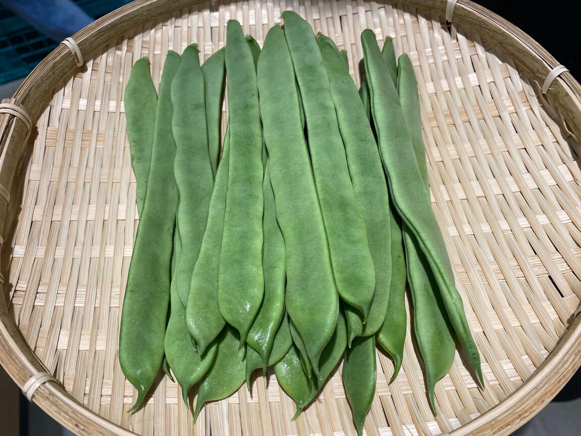 【シエスタハコダテ】地元産の野菜たちが入荷してきております｜ベジ旨だより