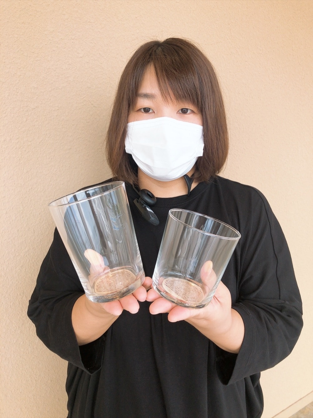 羽咋宝達志水　グラス