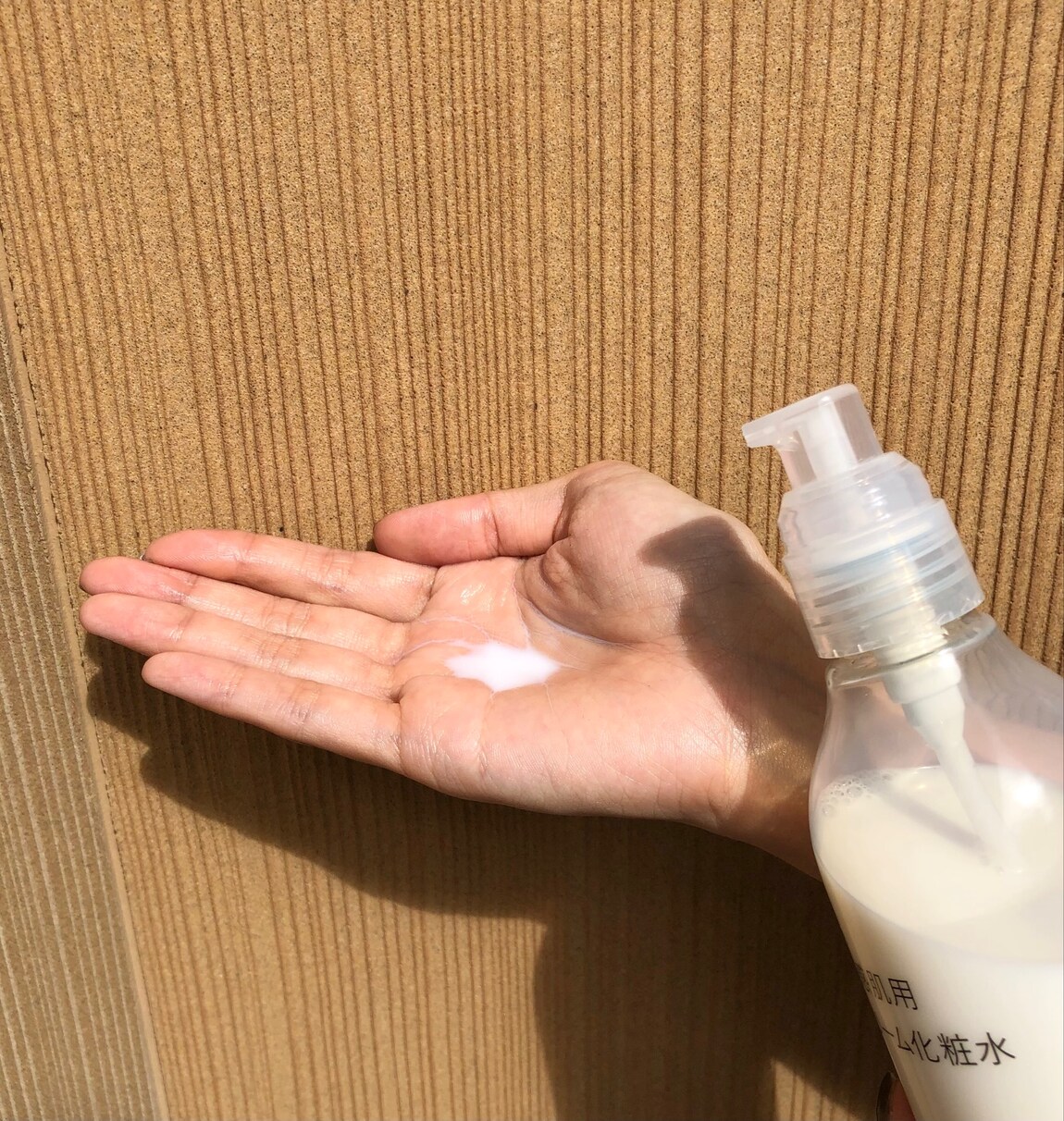 手のひら