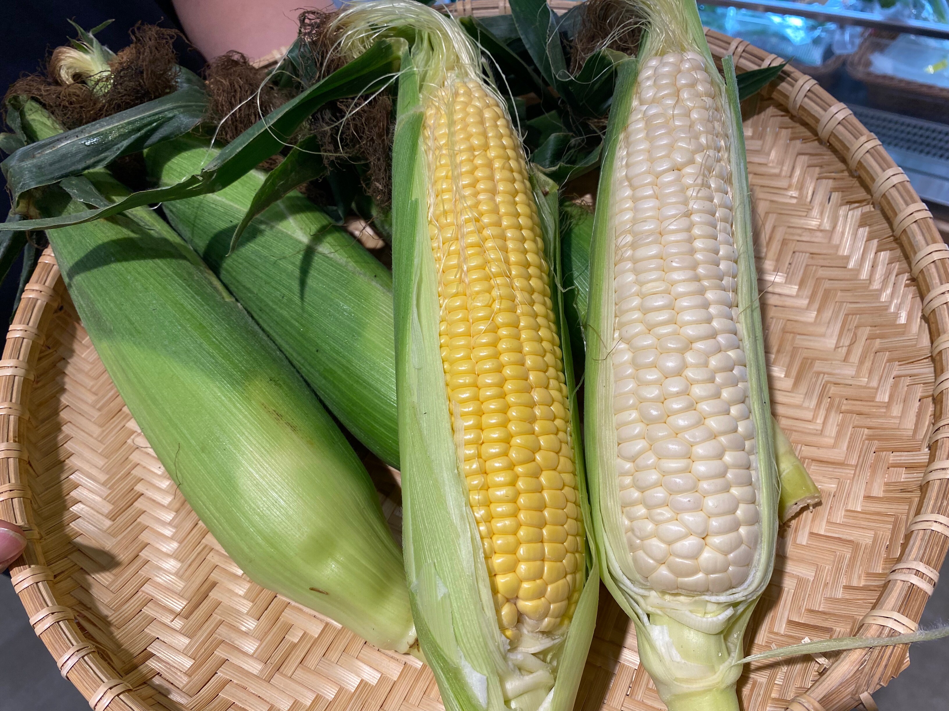 【シエスタハコダテ】地元産の夏野菜が入荷してきております｜ベジ旨だより