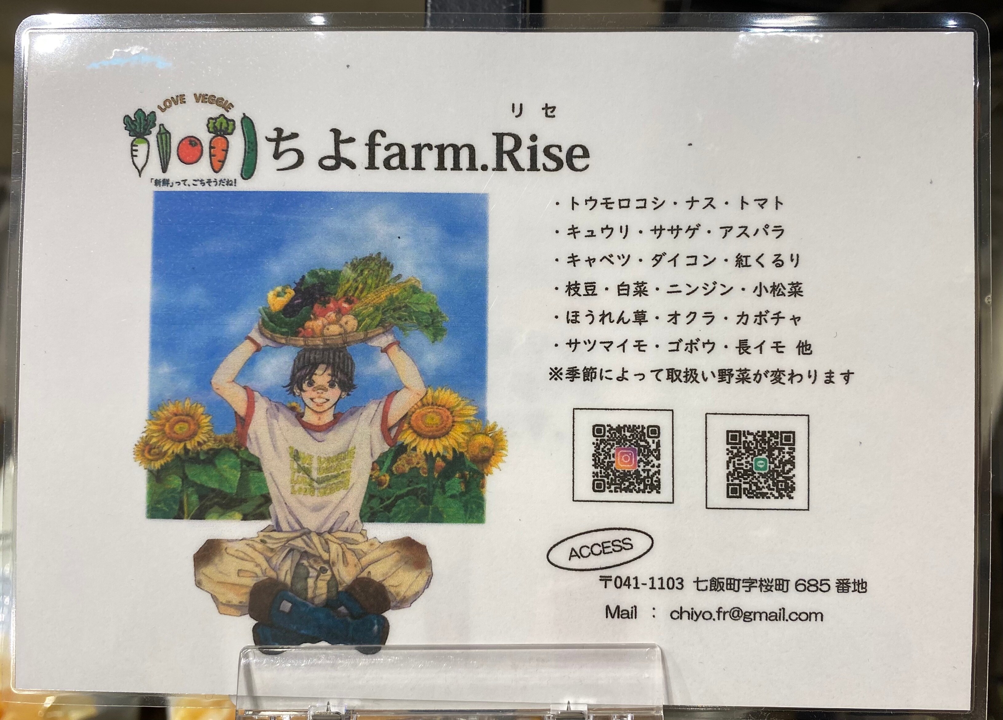 【シエスタハコダテ】地元産の夏野菜が入荷してきております｜ベジ旨だより