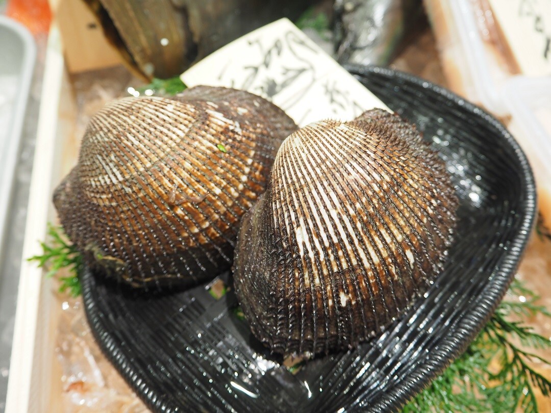 京都山科 いろいろの貝 良い魚の日 無印良品