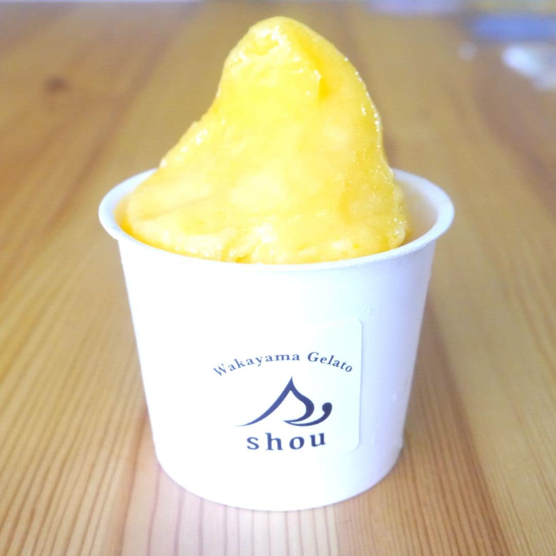 【堺北花田】和歌山の自然を味わう「Wakayama Gelato shou」｜限定出店のお知らせ_9JisVm