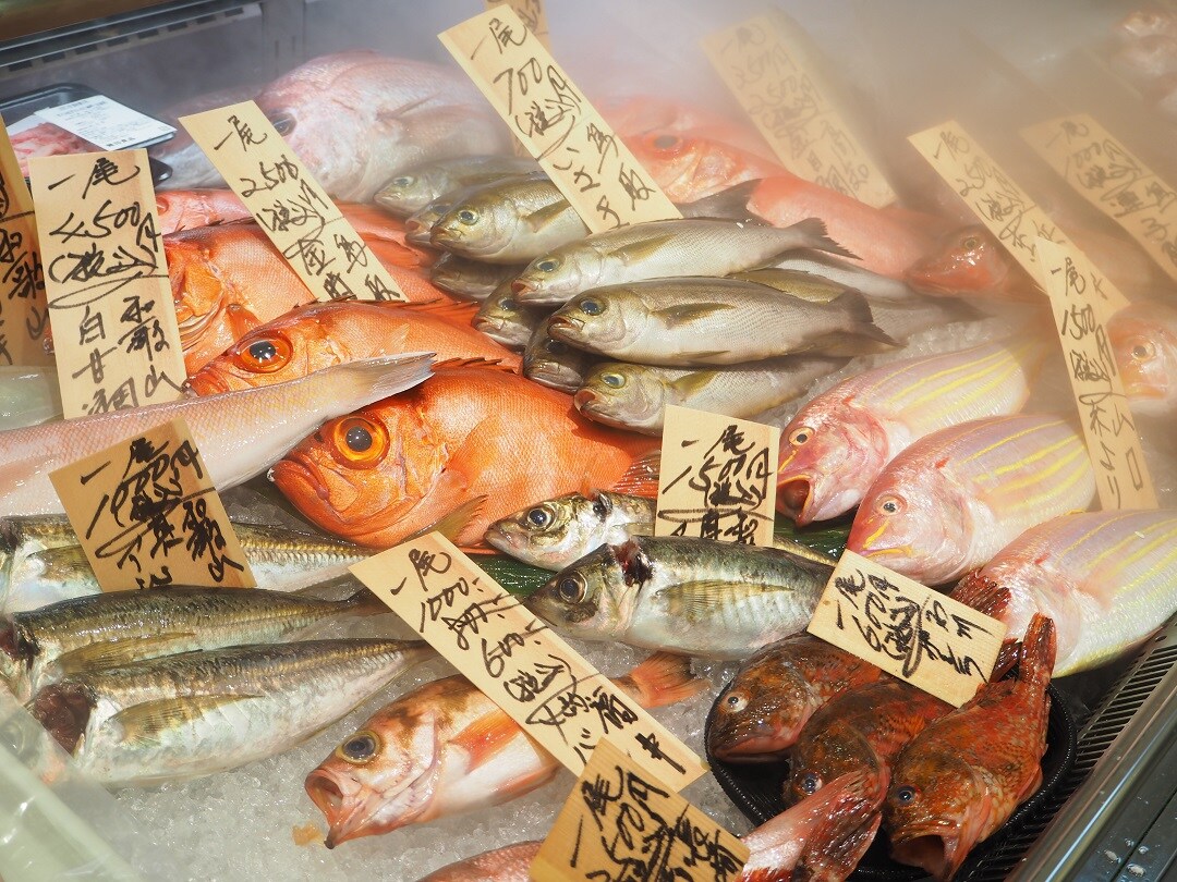 【京都山科】カツオじゃないよ、マナガツオ｜鮮魚売場より