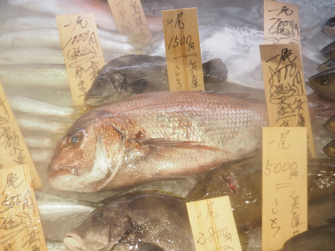 魚を紹介している写真