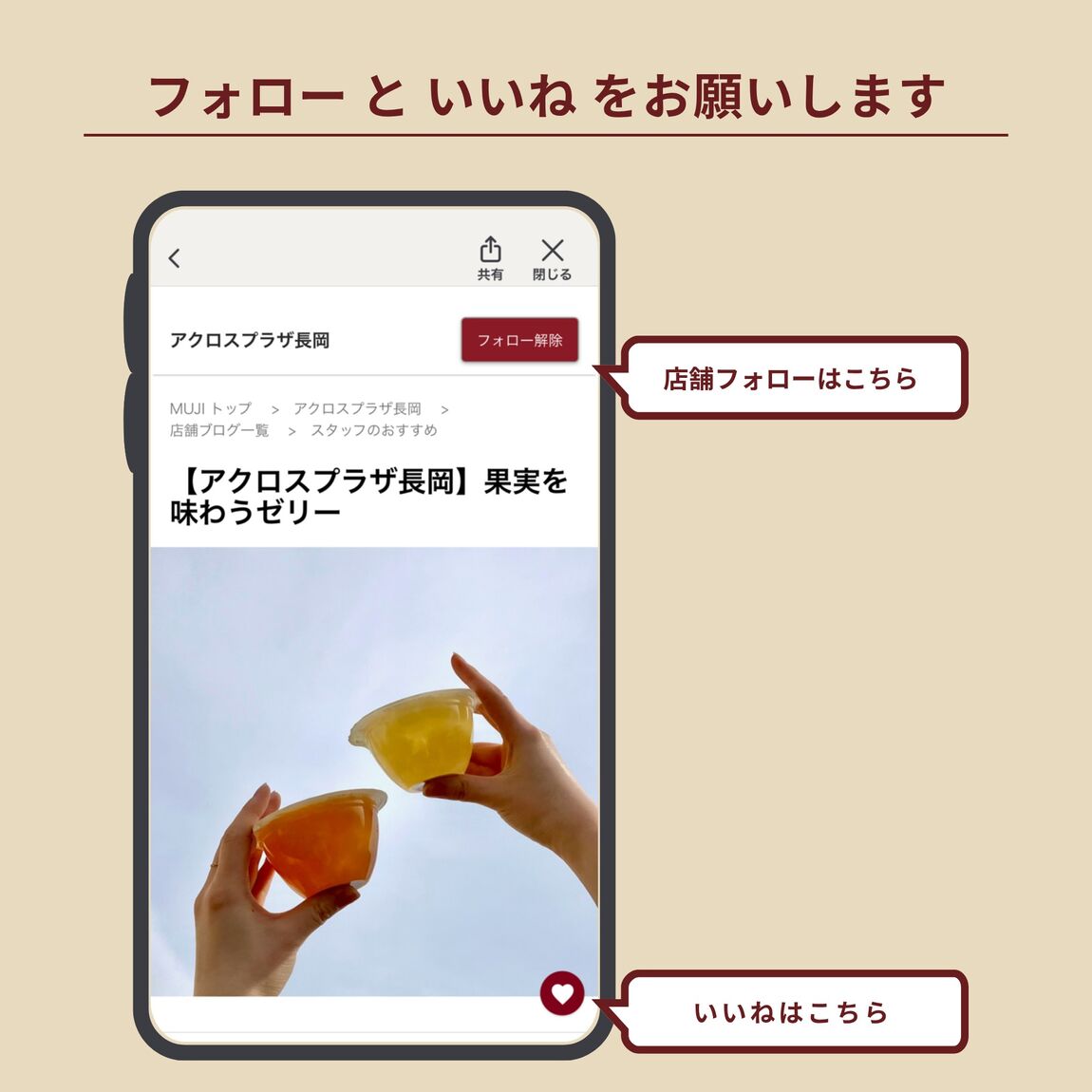 【アクロスプラザ長岡】8月の試食会・お試し会のお知らせ_a3mMS5