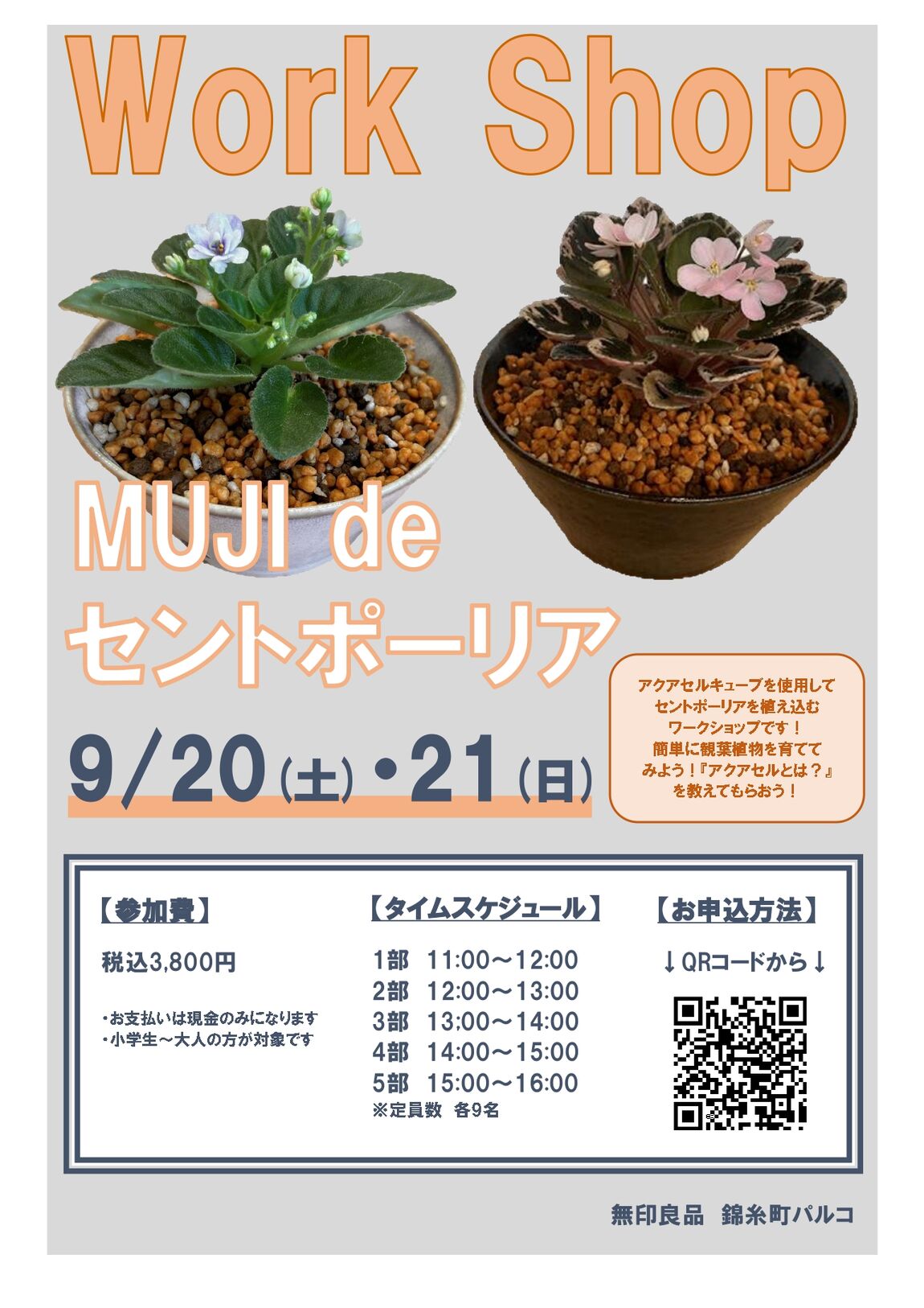 セントポーリア②