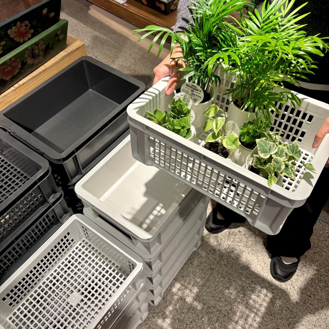 ポリプロピレン通函の写真1