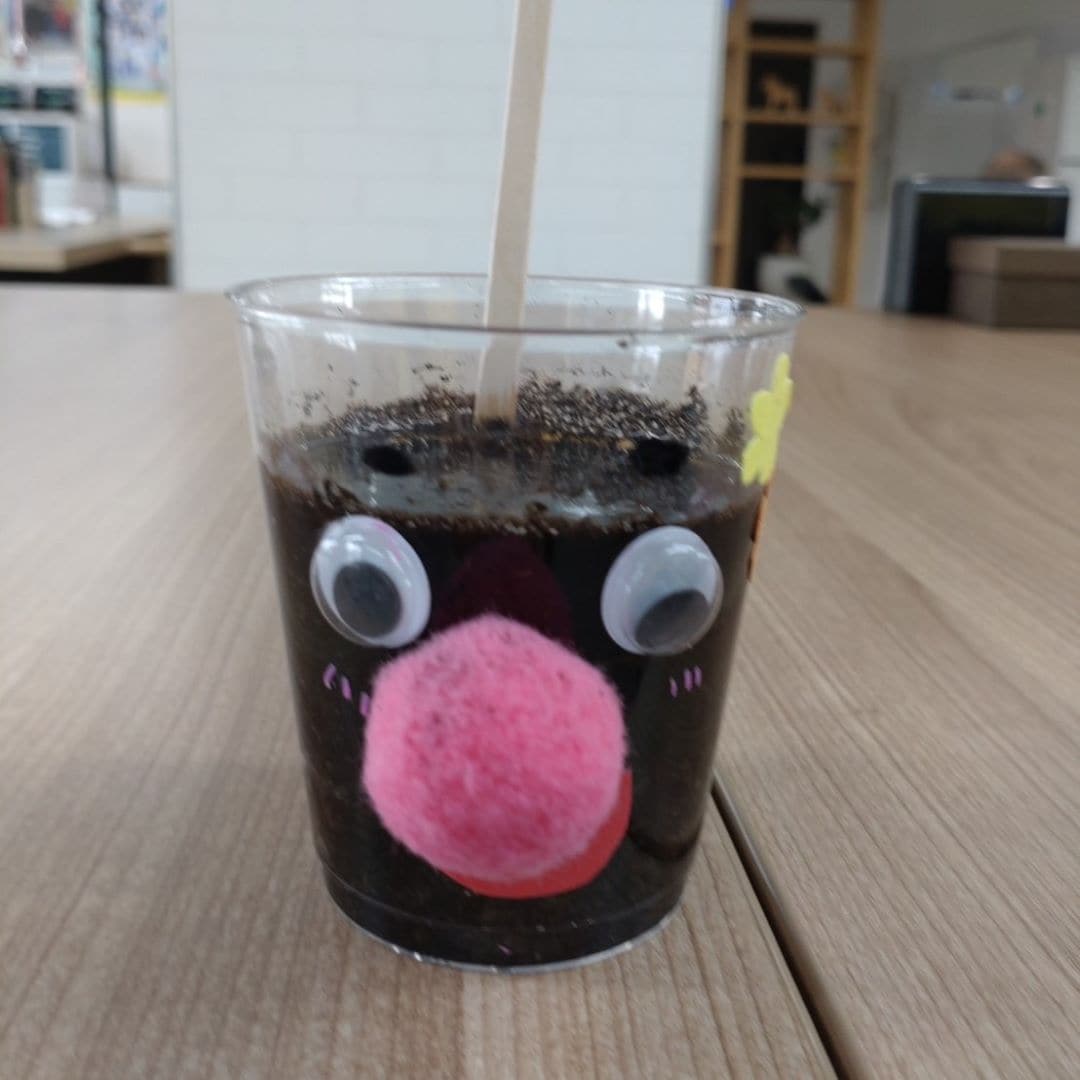 おたより