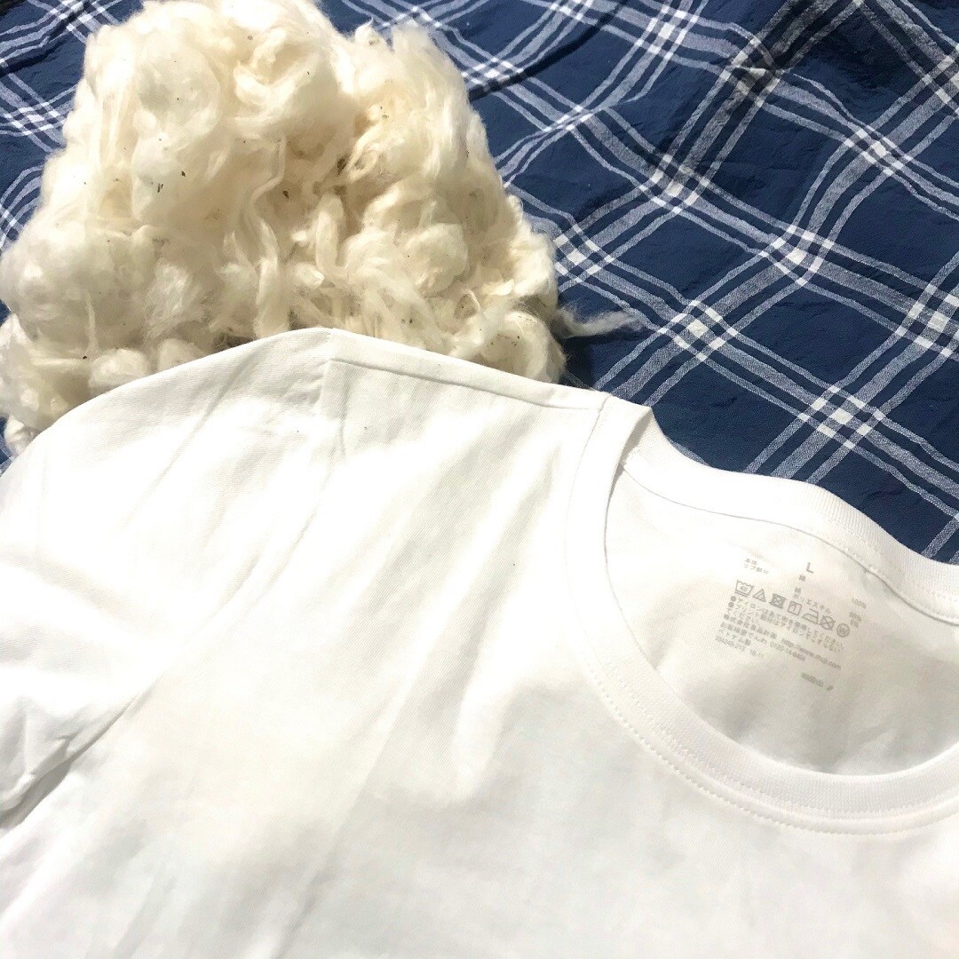 【ザ・モール仙台長町】コットンとTシャツの写真