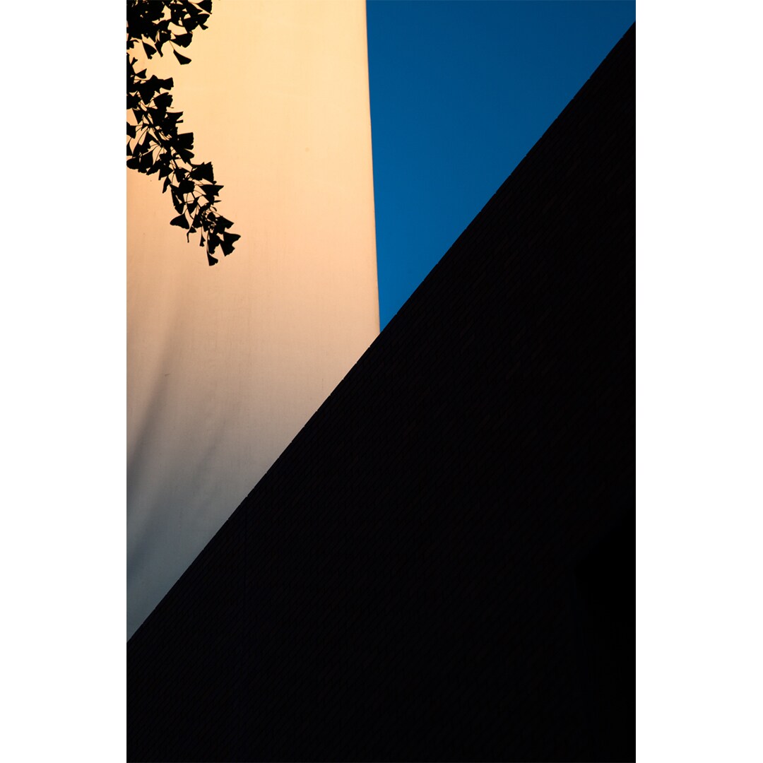 t3