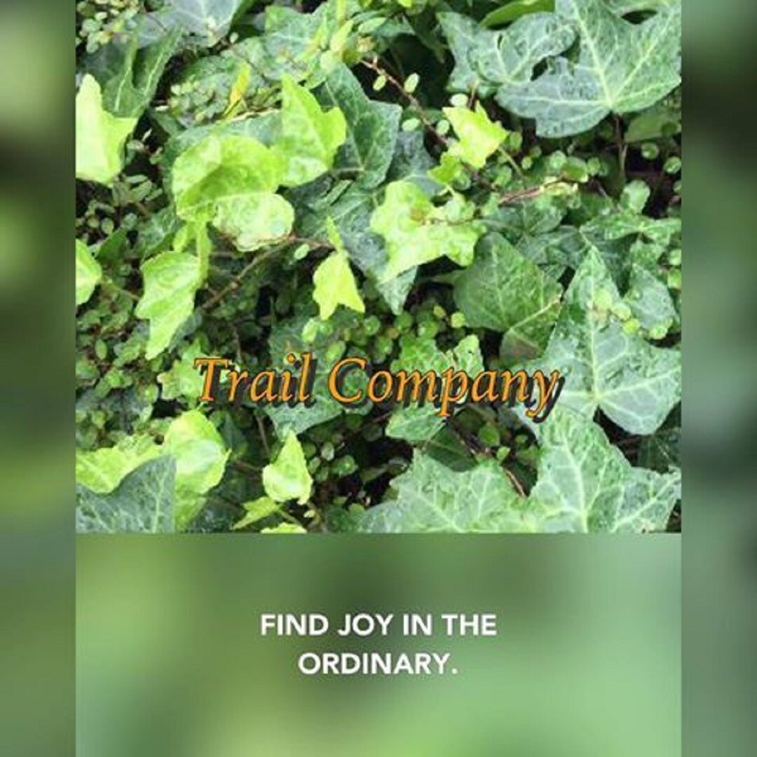 Trail Company