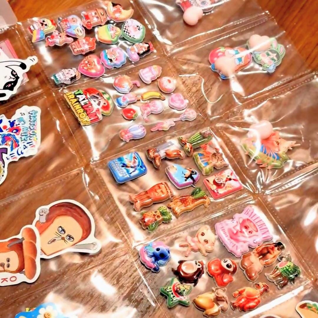 スタッフおすすめ